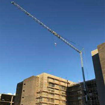 Self Erecting Cranes